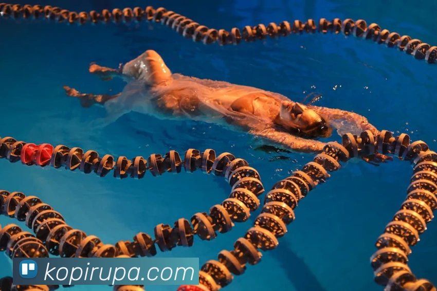 App Interface Preview