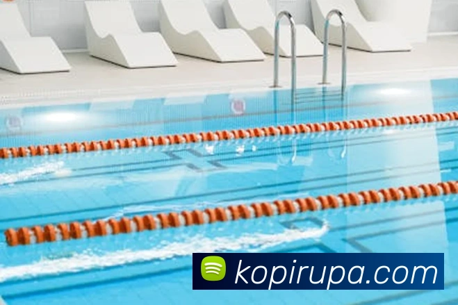 pa真人视讯APP 封面图